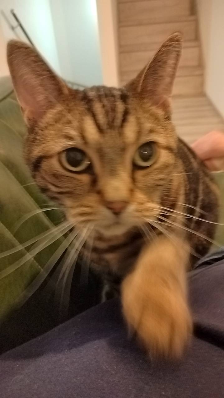 夏期講習会のいいところ①