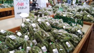 【青砥5.24】季節を感じに