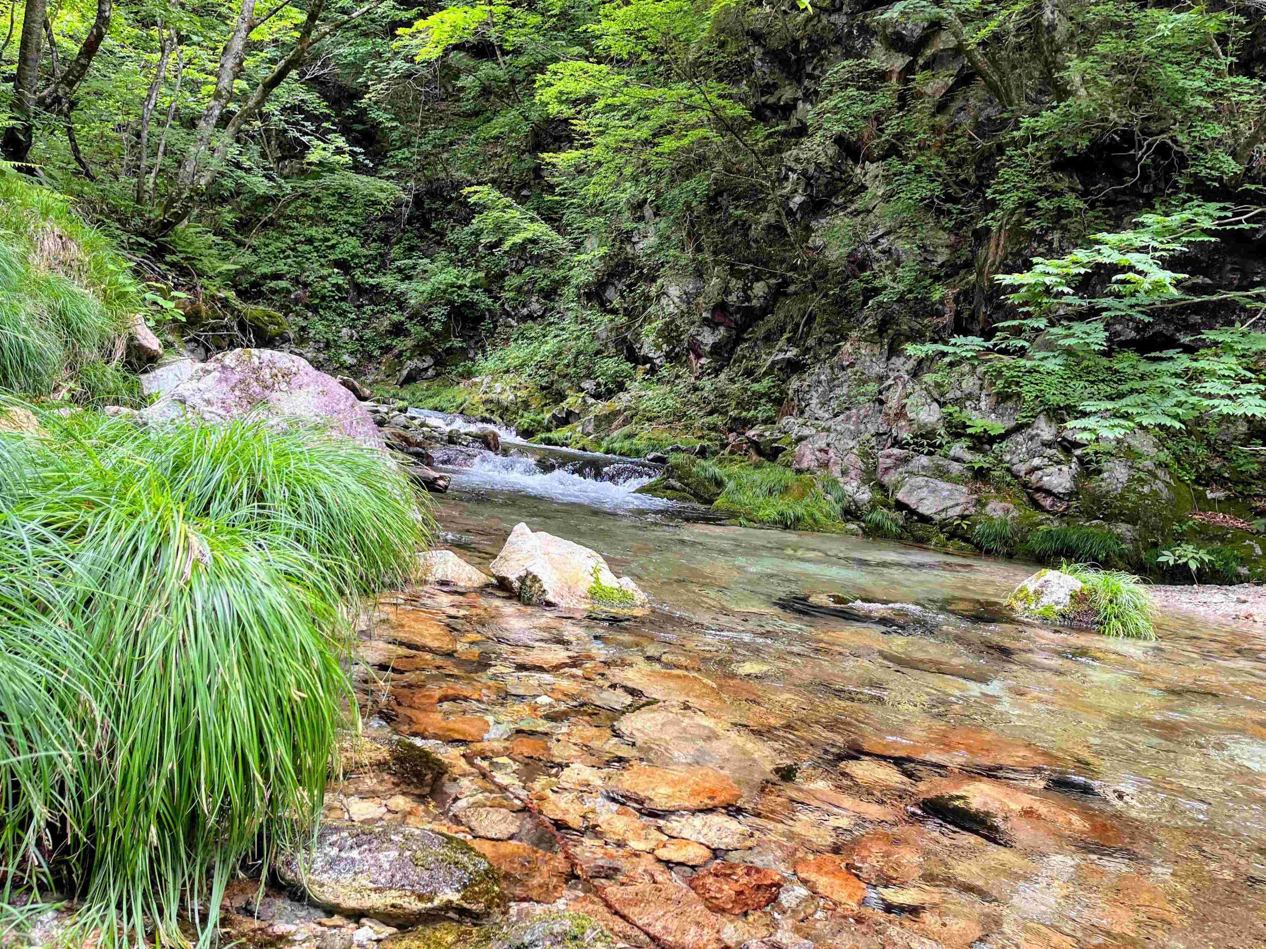 夏期講習会のいいところ紹介②