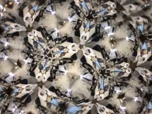 〇皐月➉　5/27〇