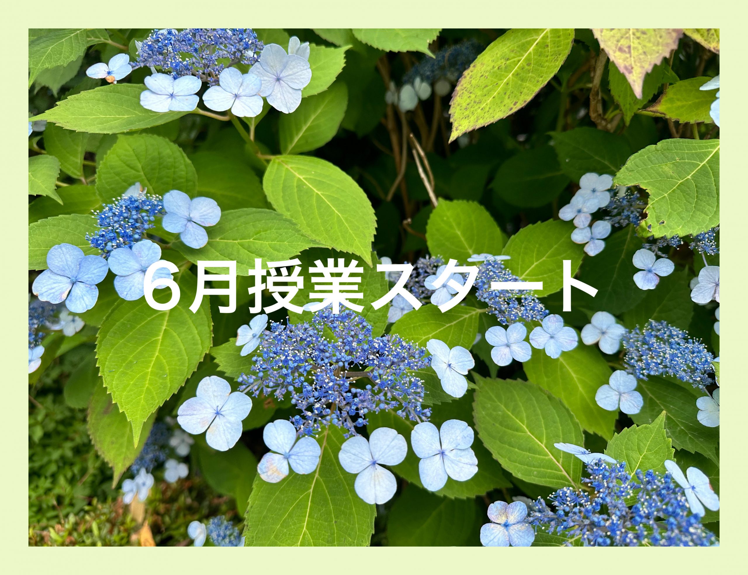 清澄通信0603【6月スタート】