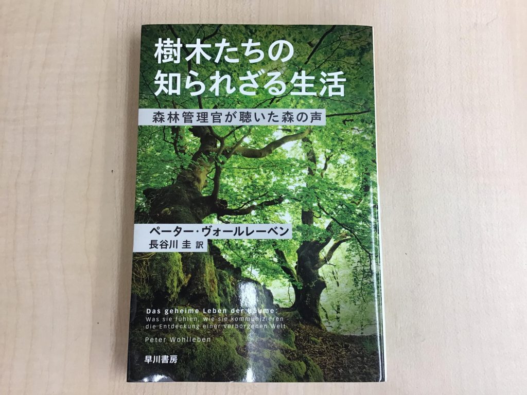 馬場・6月その６