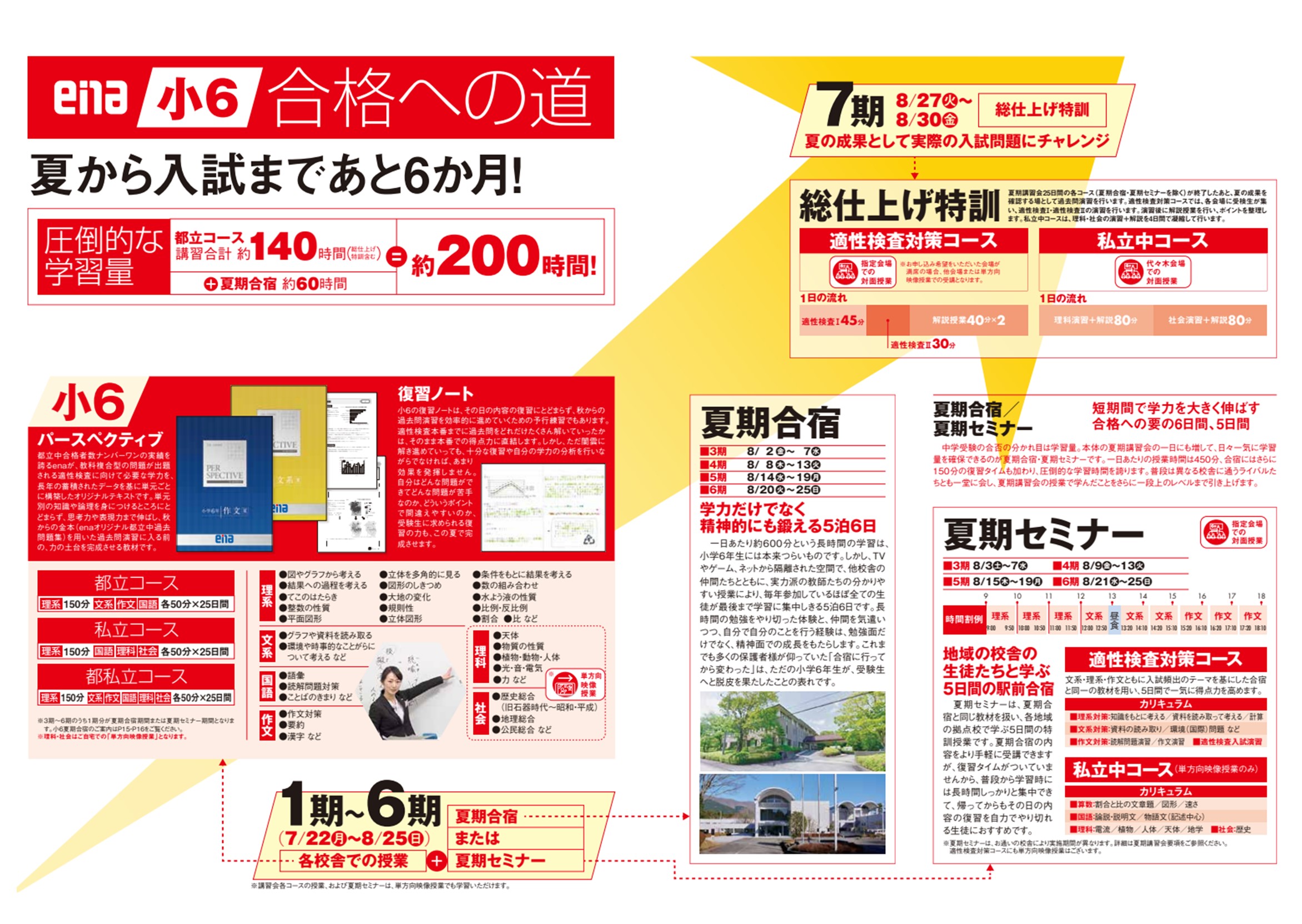 ena　小6 　パースペクティブ　夏期講習用 2024.07.06小岩通信。夏期講習会のご案内（小学6年生）】＃285