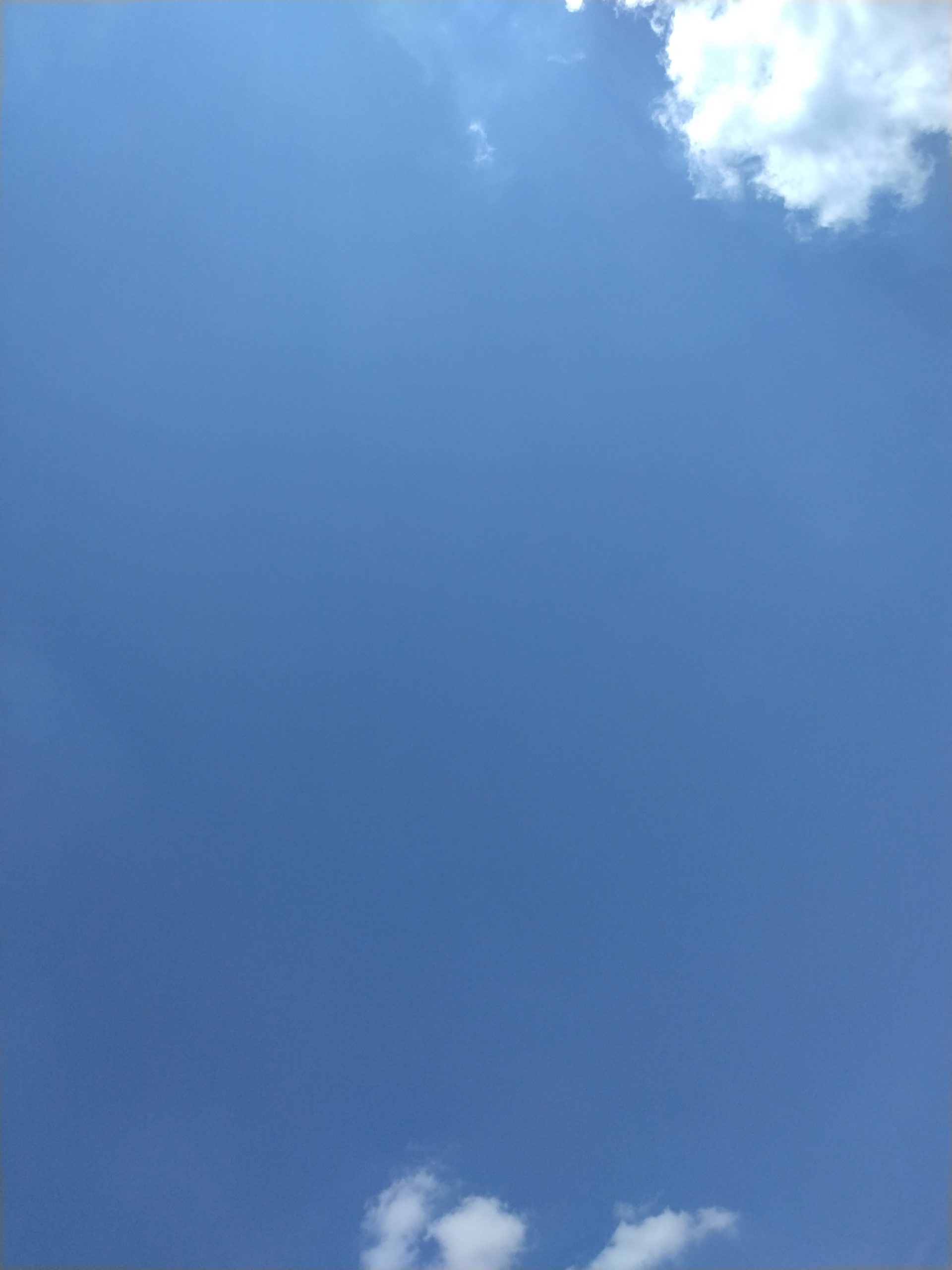 夏期講習会までのカウントダウン…あと１２日