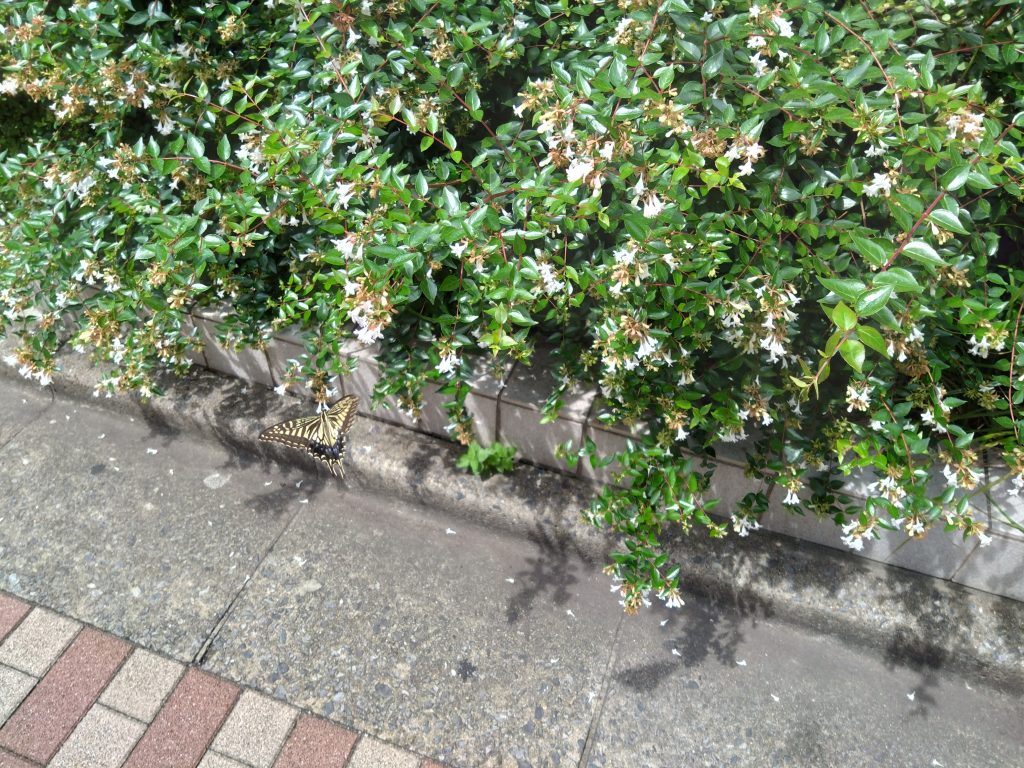 夏は学びの季節