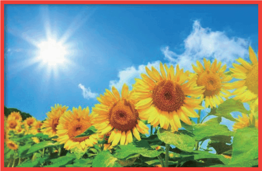 【夏期講習】1期・1日目の様子