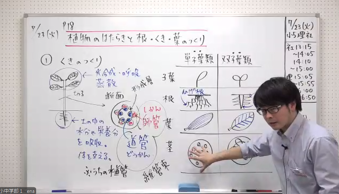【小５都私立コースの理科・社会】enaオンラインクラス通信＃１２９１
