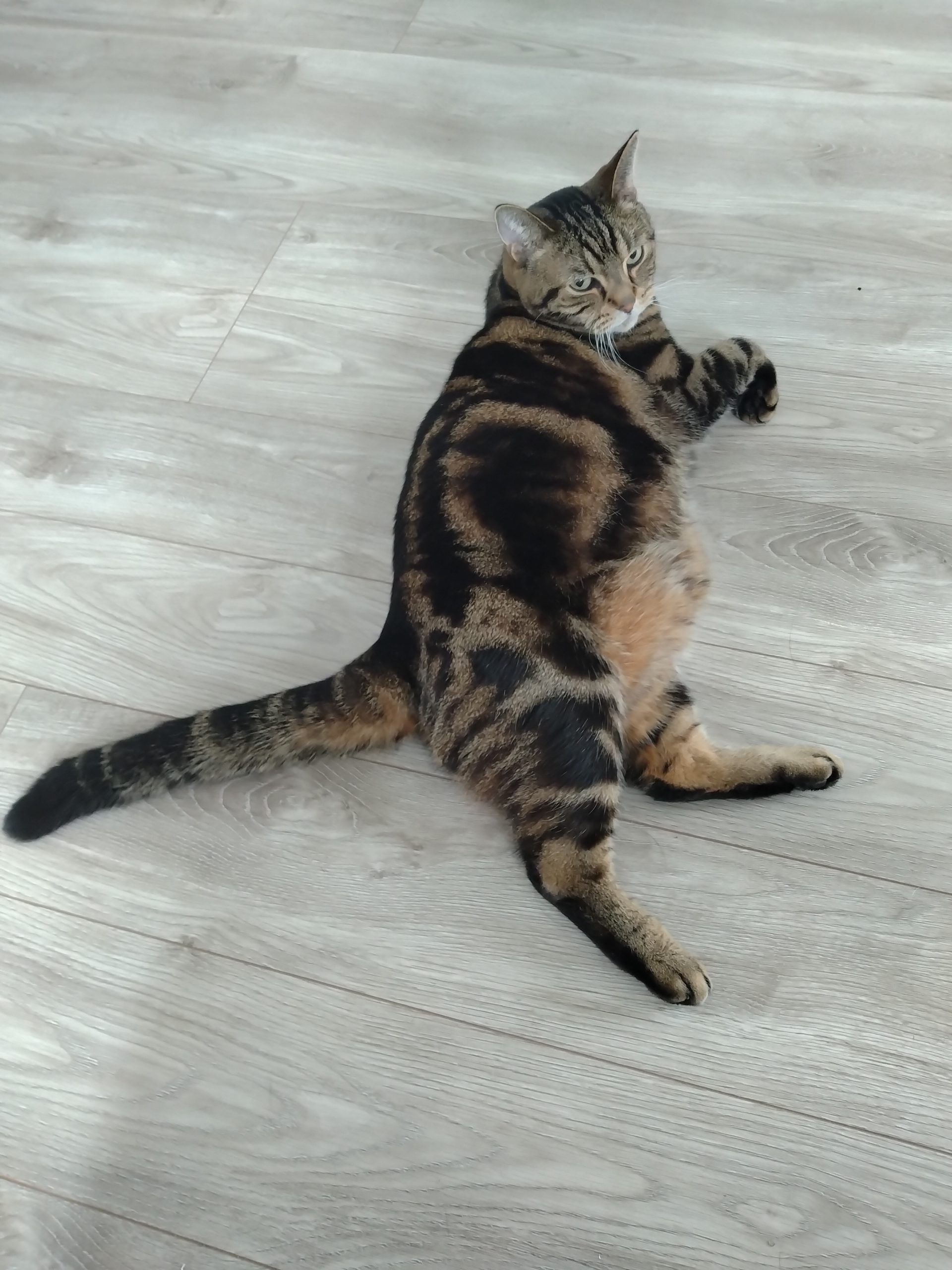 休校のお知らせ