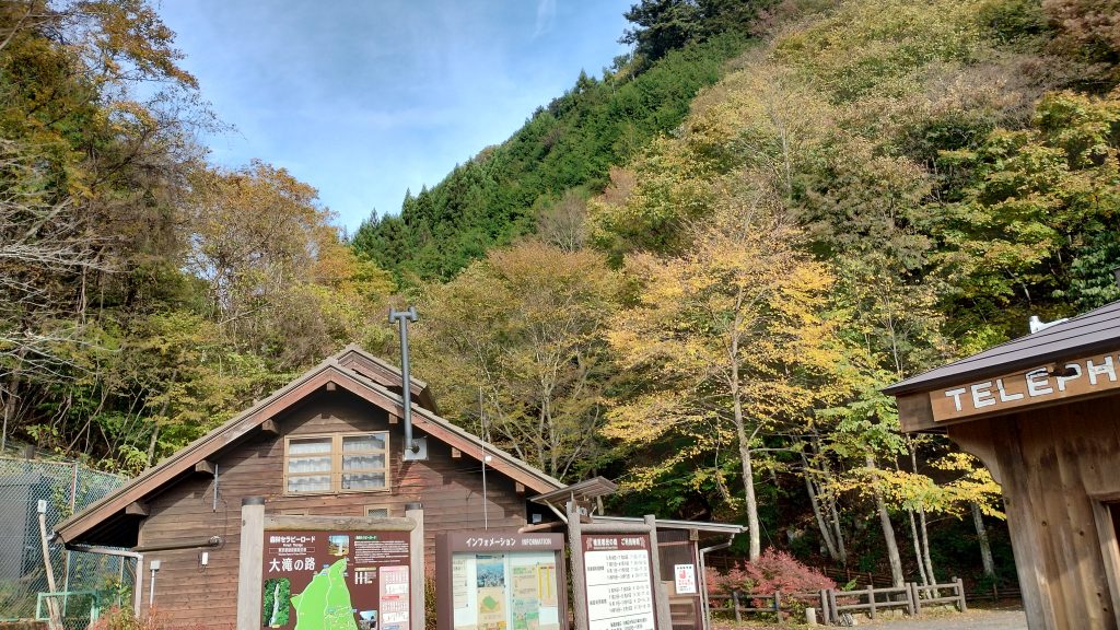 【青砥11.15】東京都にいるツキノワグマの頭数は？