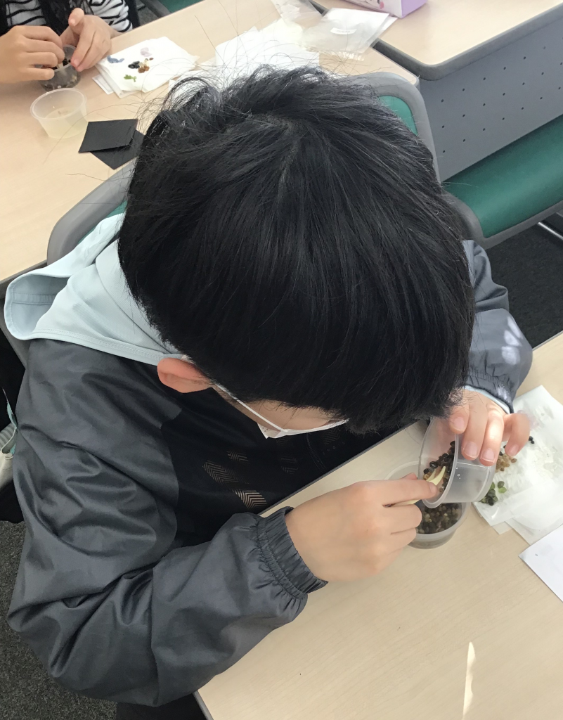 冬期講習スタート