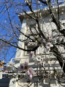 宿題掲示板　12/02～12/07