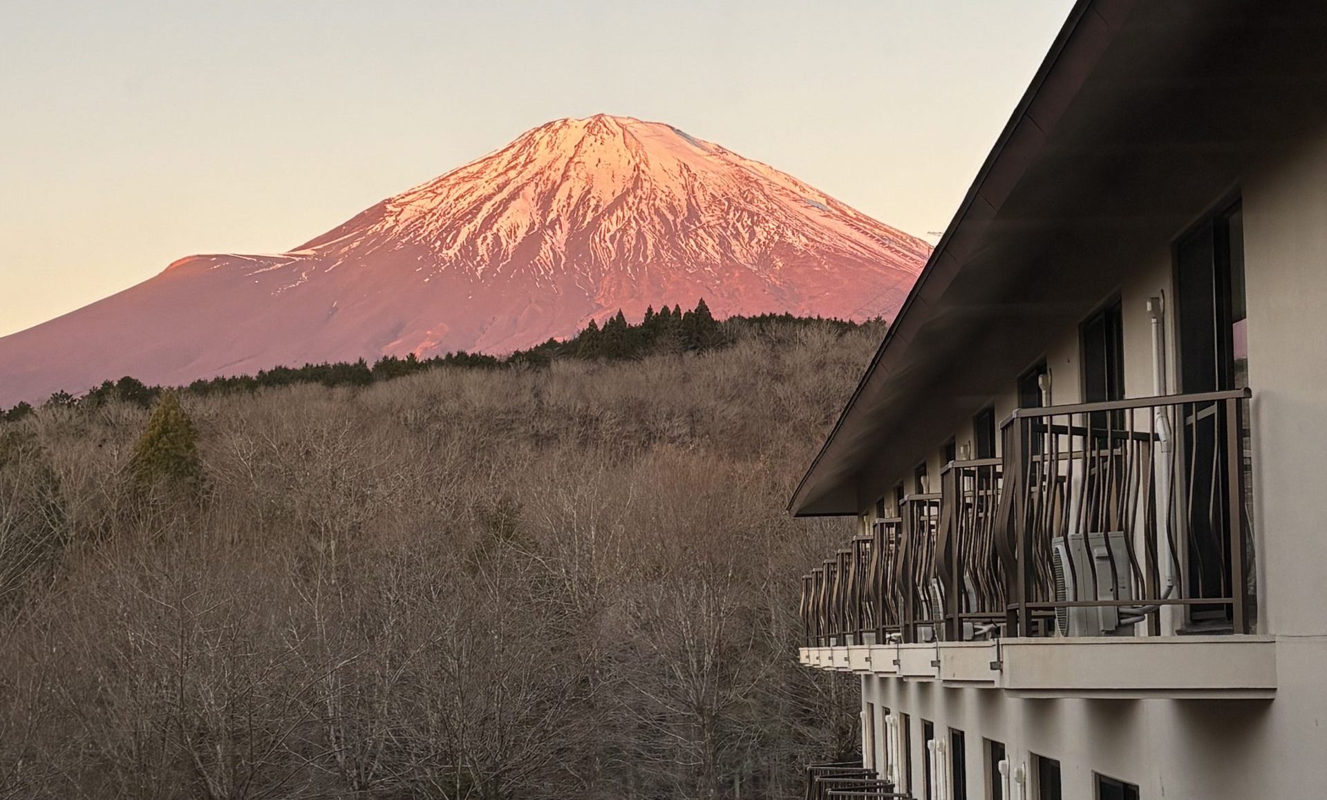 【ena光が丘】本年もよろしくお願いいたします