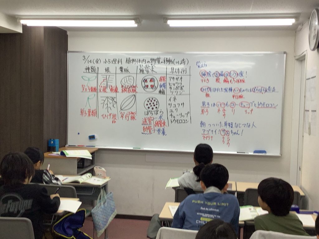 南阿佐ヶ谷日記その６