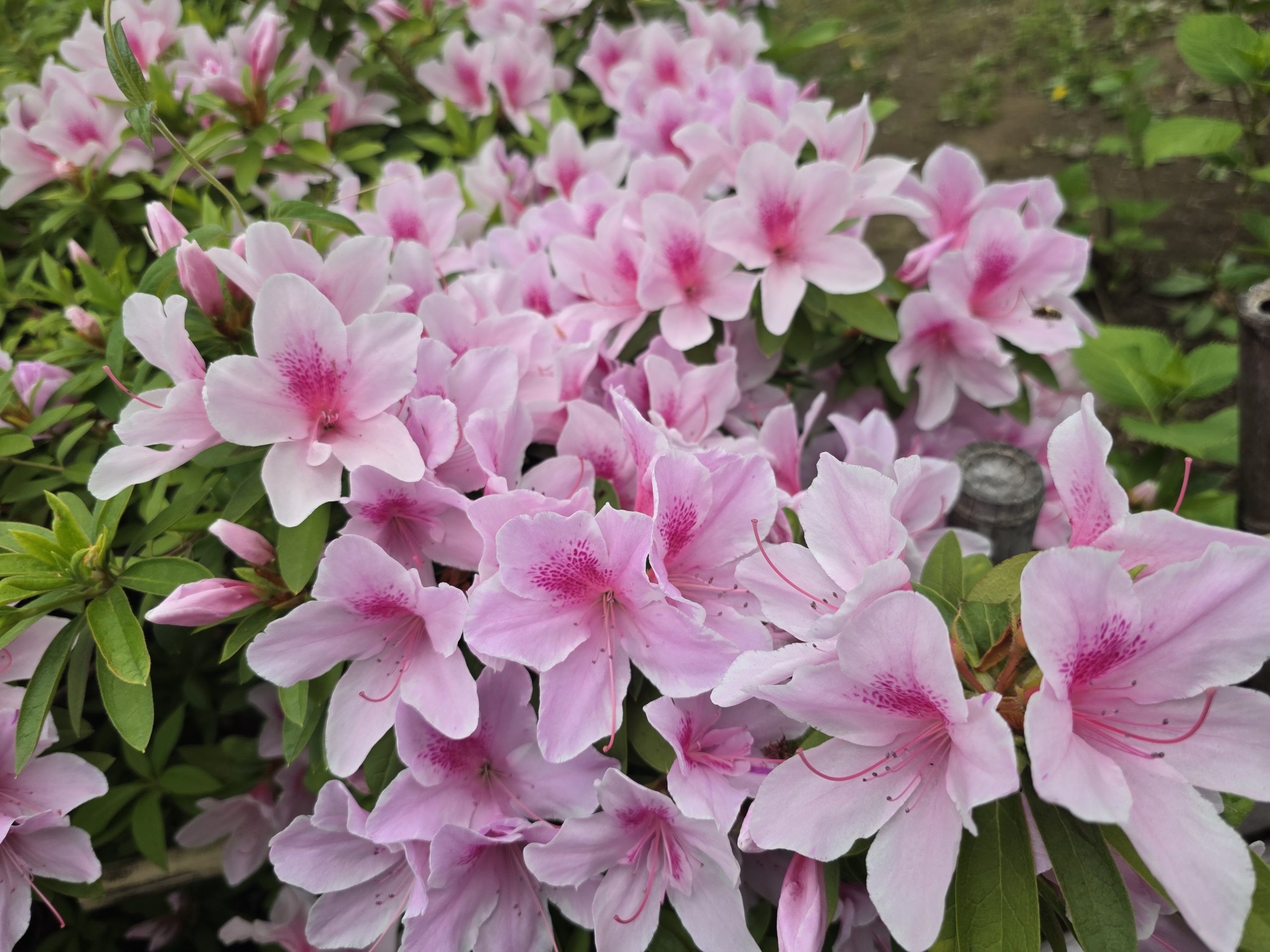 4月23日（水）学判WEEK