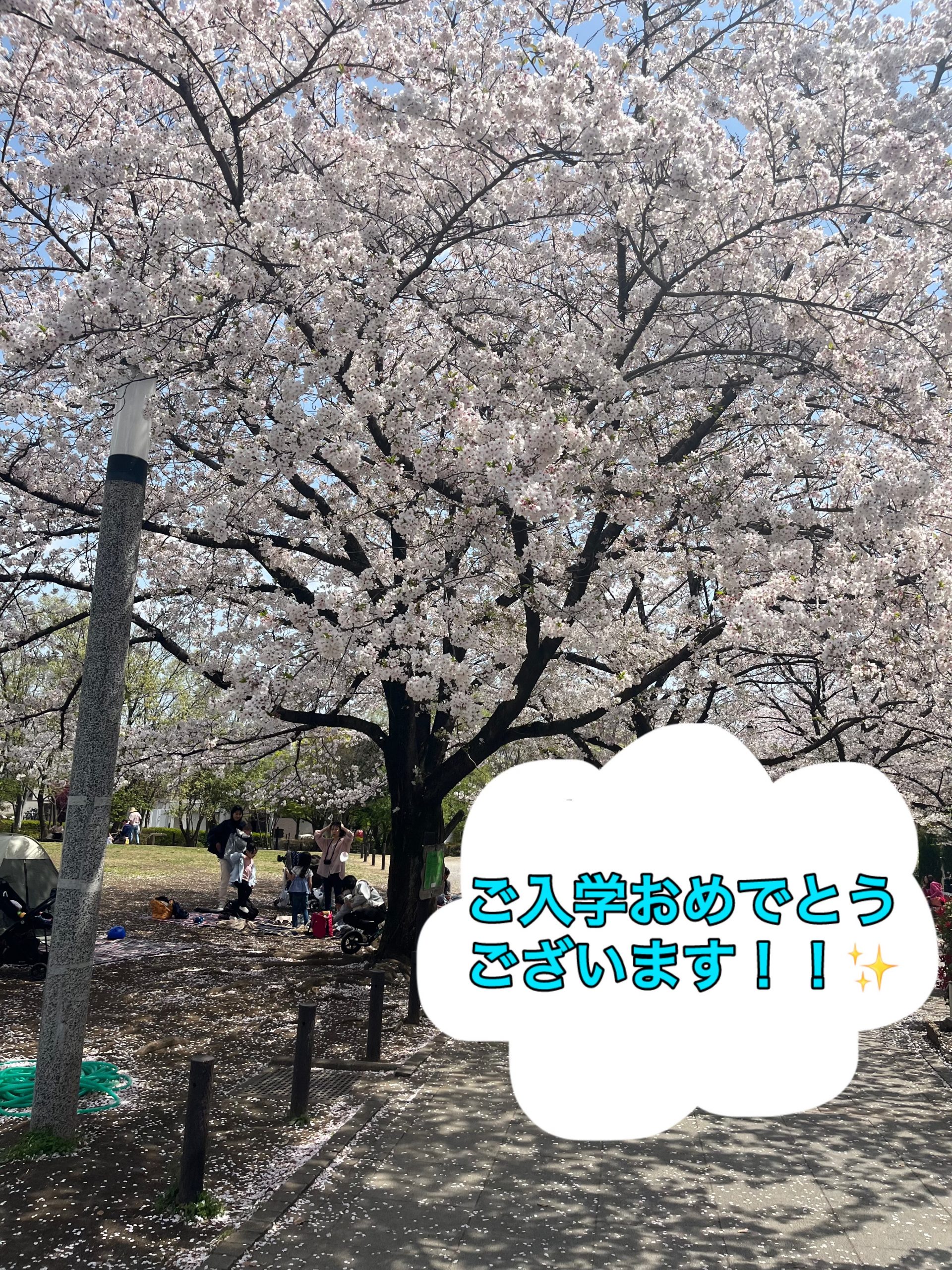 新学期スタート！