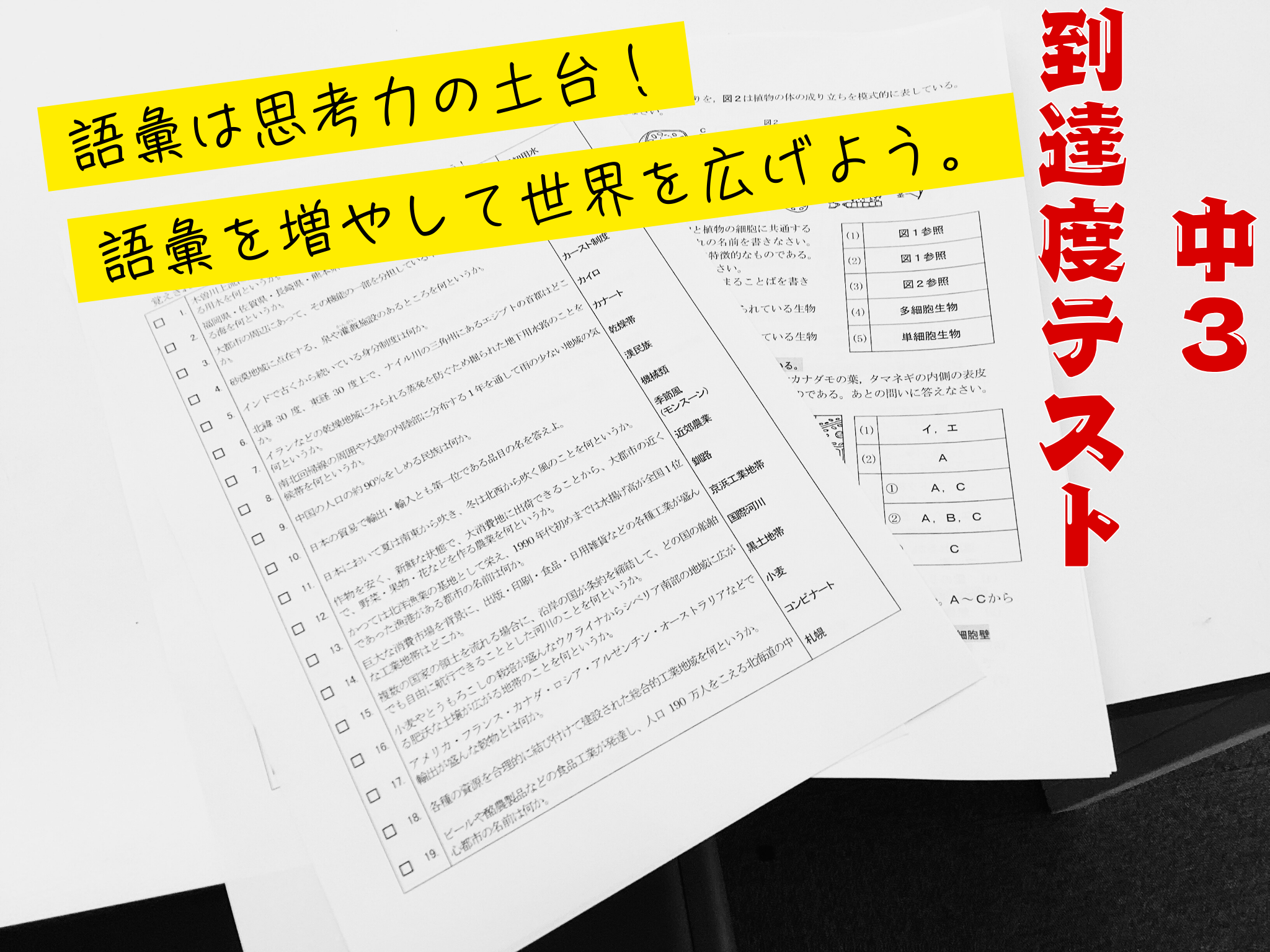 今週は到達度テスト！