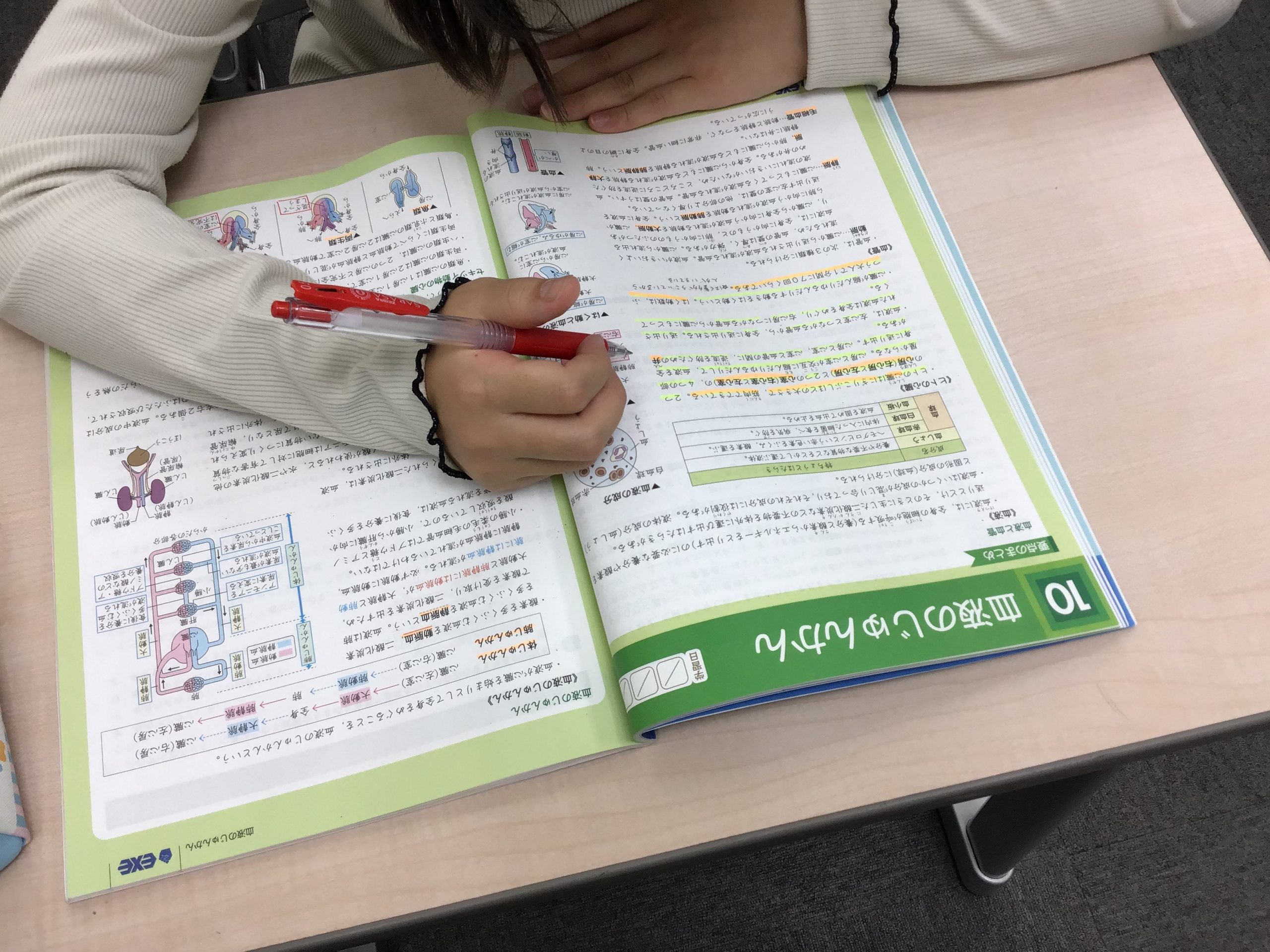 ＃1747【ena成増】本科0530