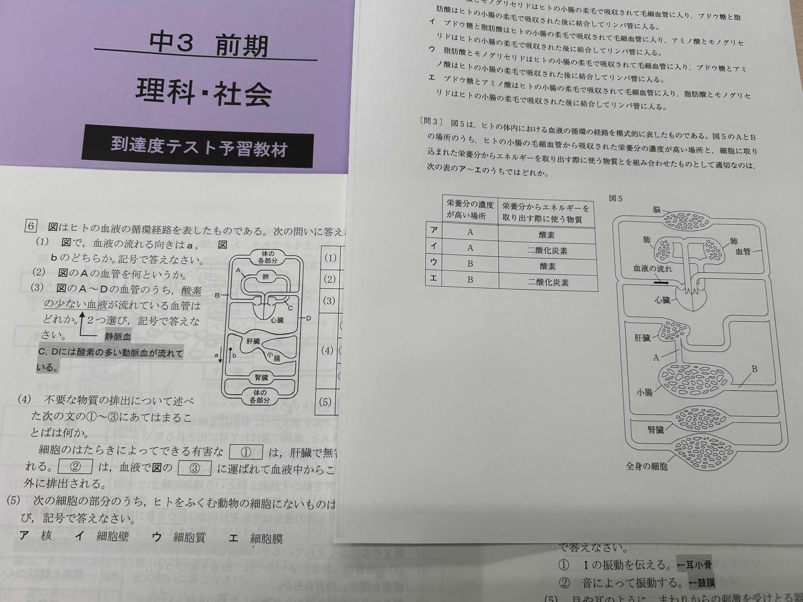 中３生、5.24「到達度テスト」に向けて始動