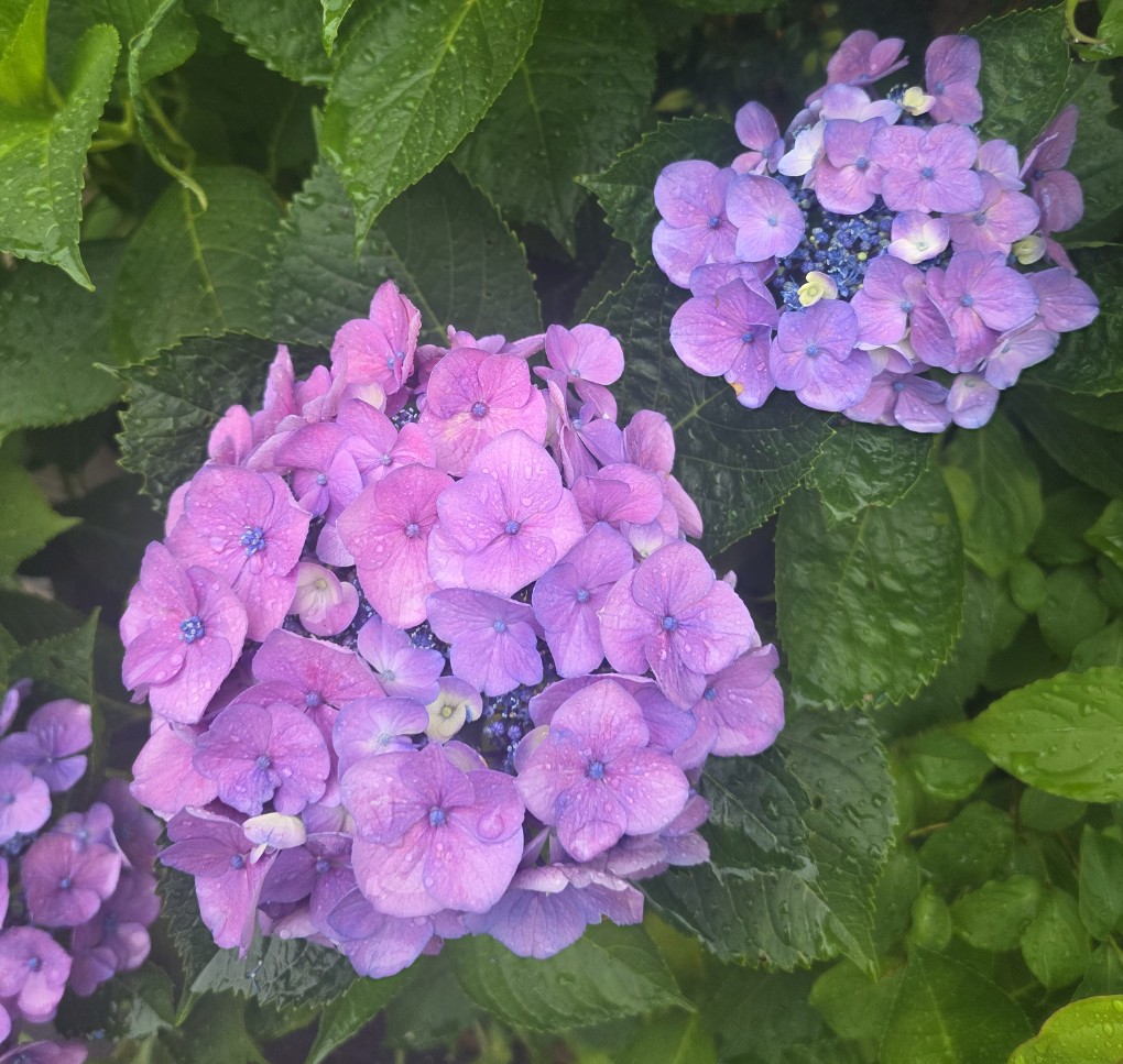 6月14日（土）第3回都立中合判、実施中！