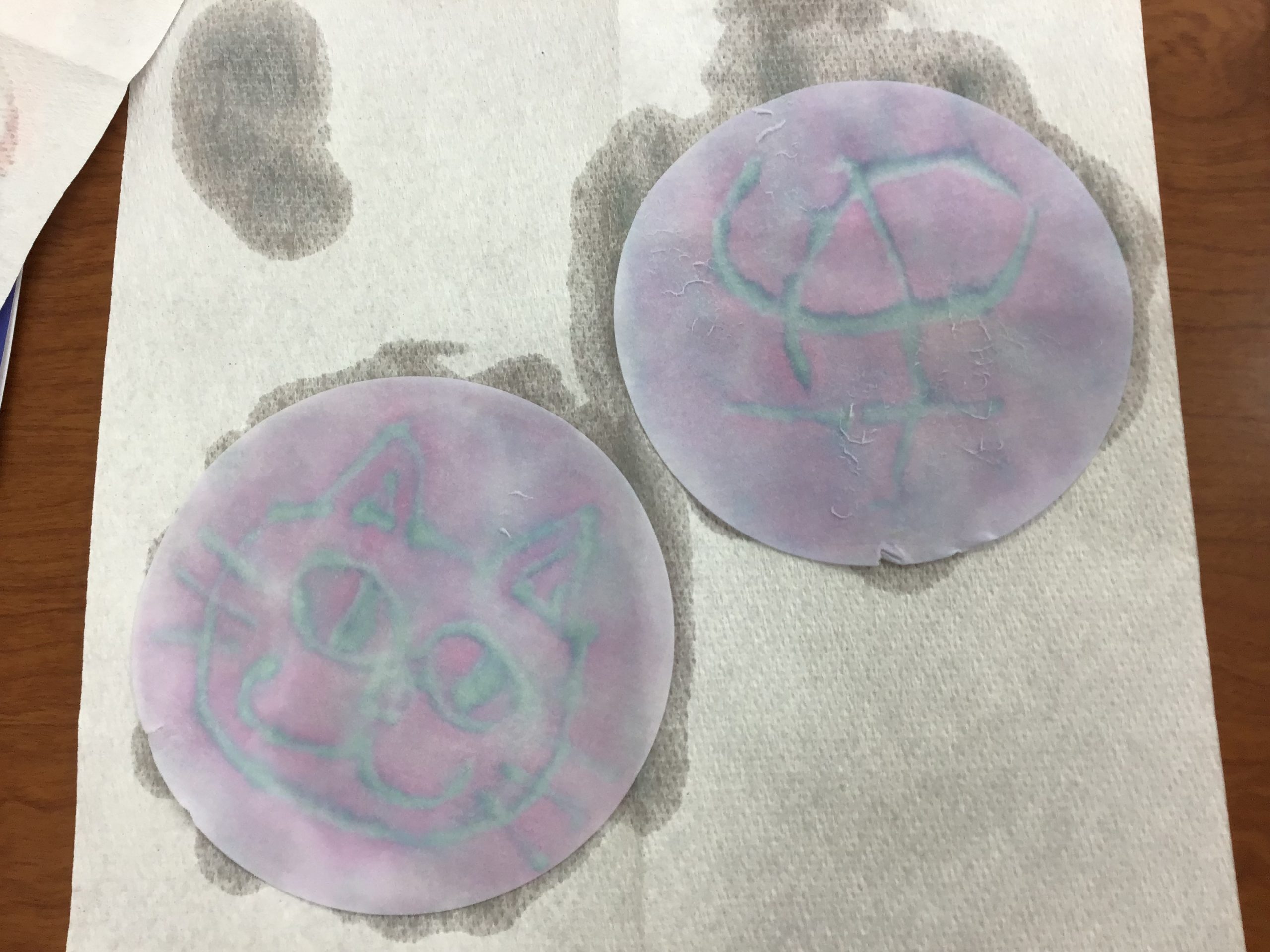 亀戸より「ふしぎ教室＝電気の力で絵をかこう」