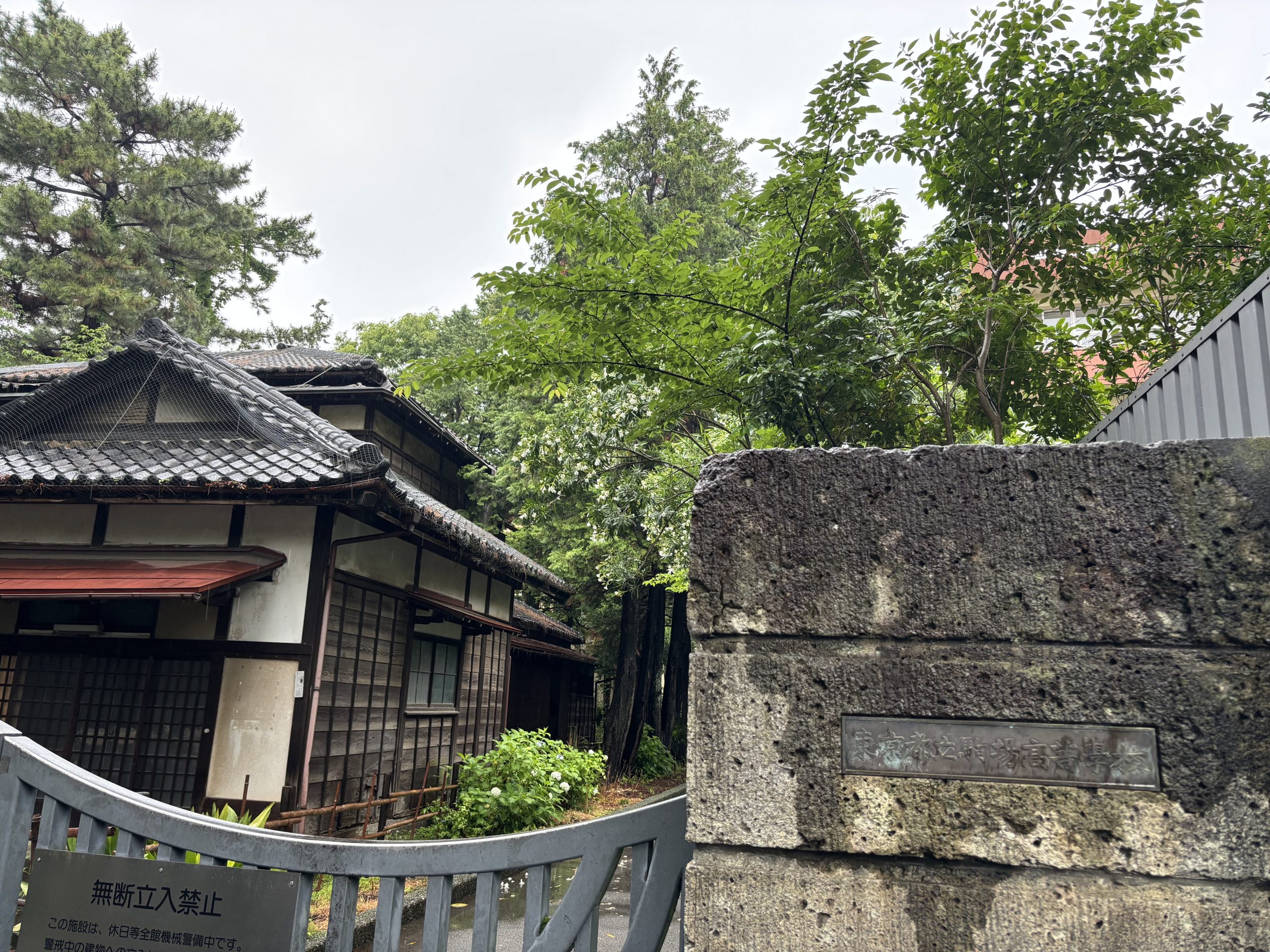 情報収集③、英語を伸ばす。