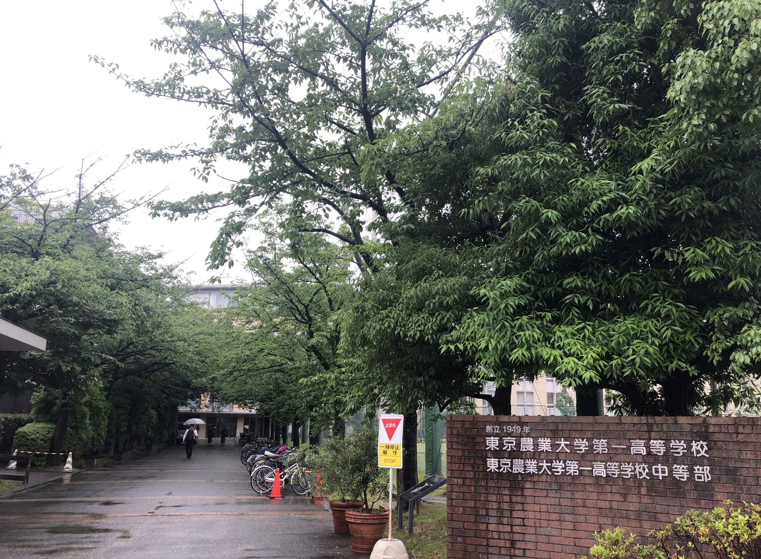 #175【平和島タイムズ】学校へ行こう！⑤