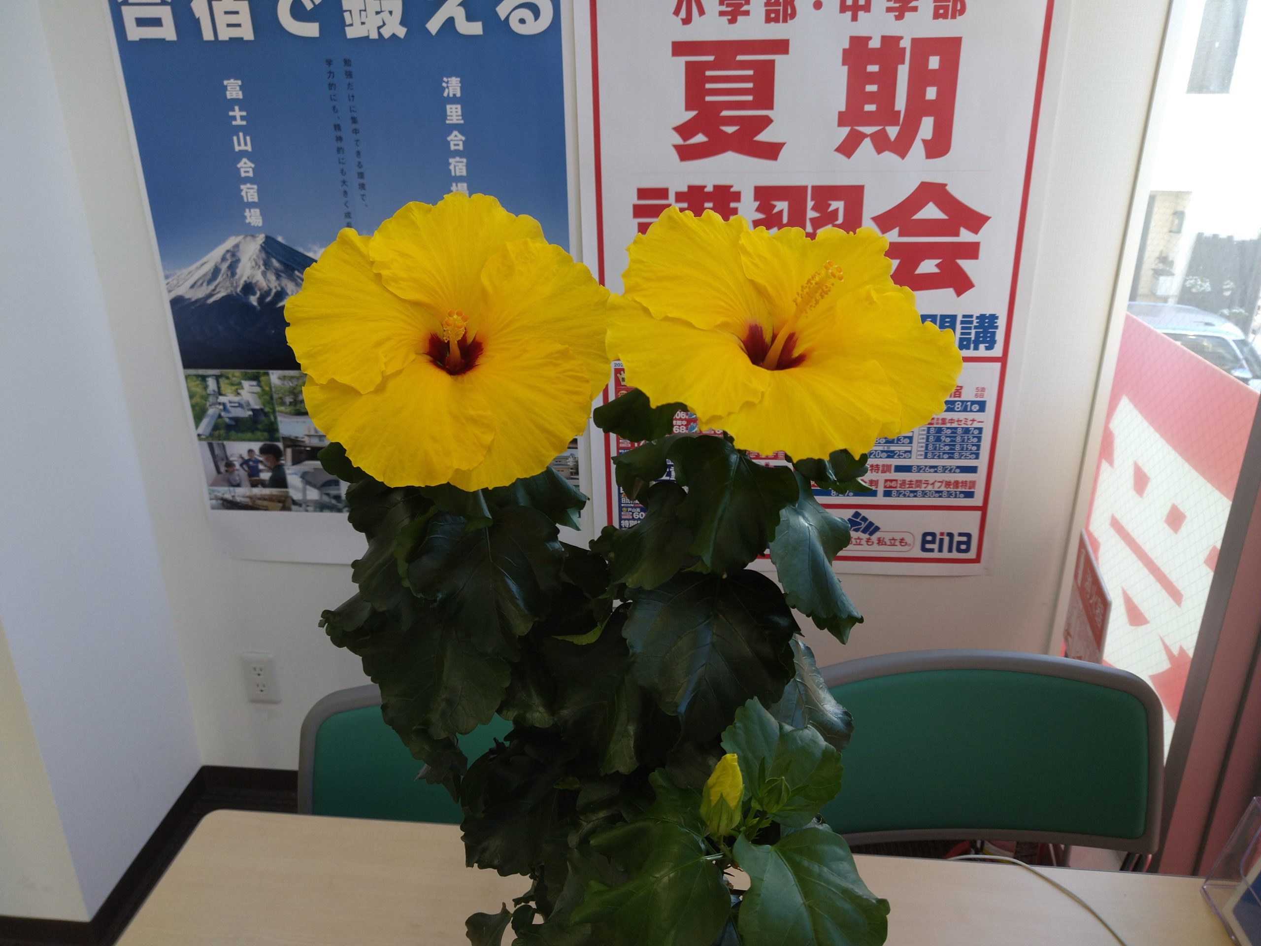 中１英語通信３