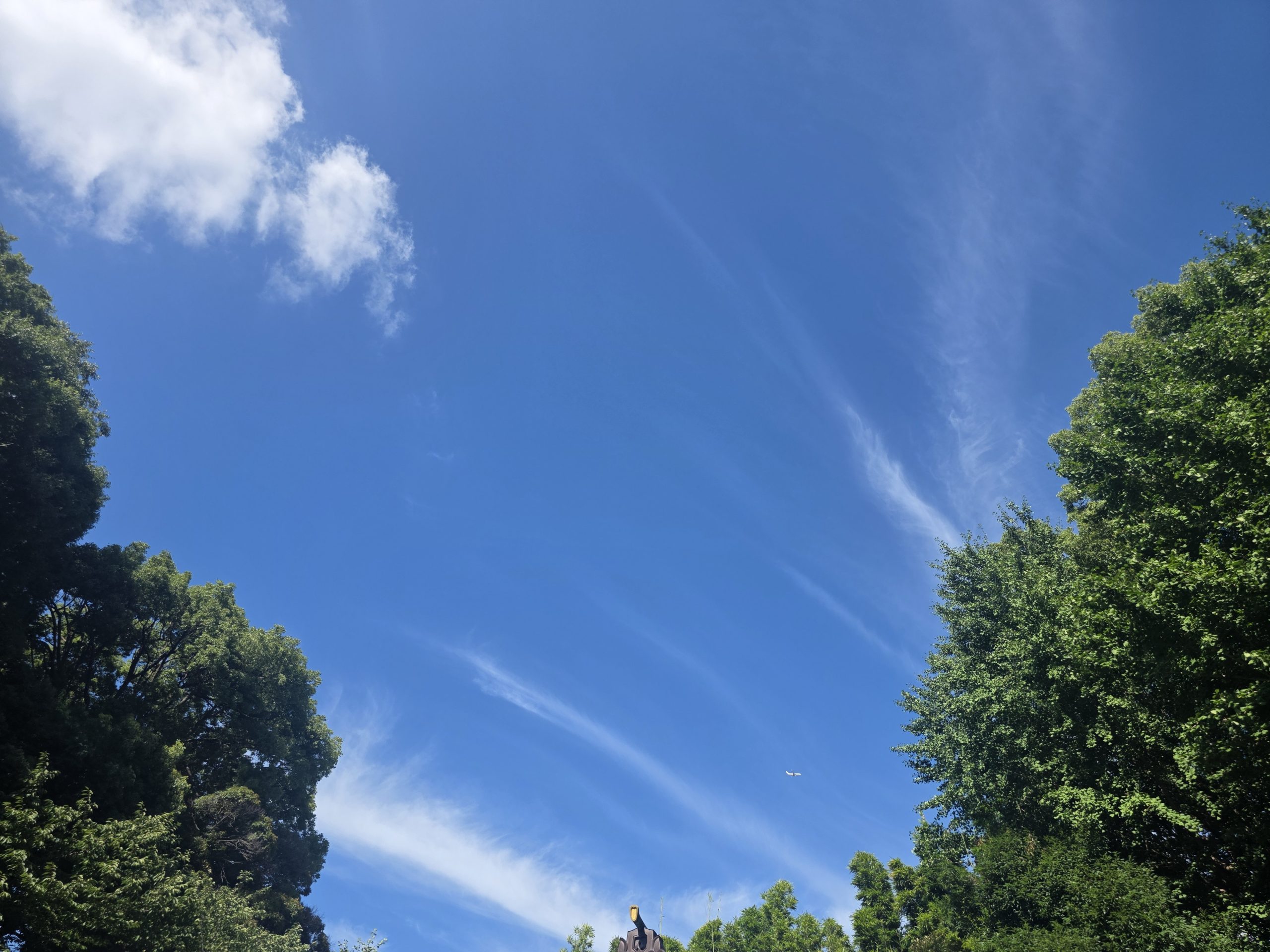 7月24日（木）【夏期講習 その２】