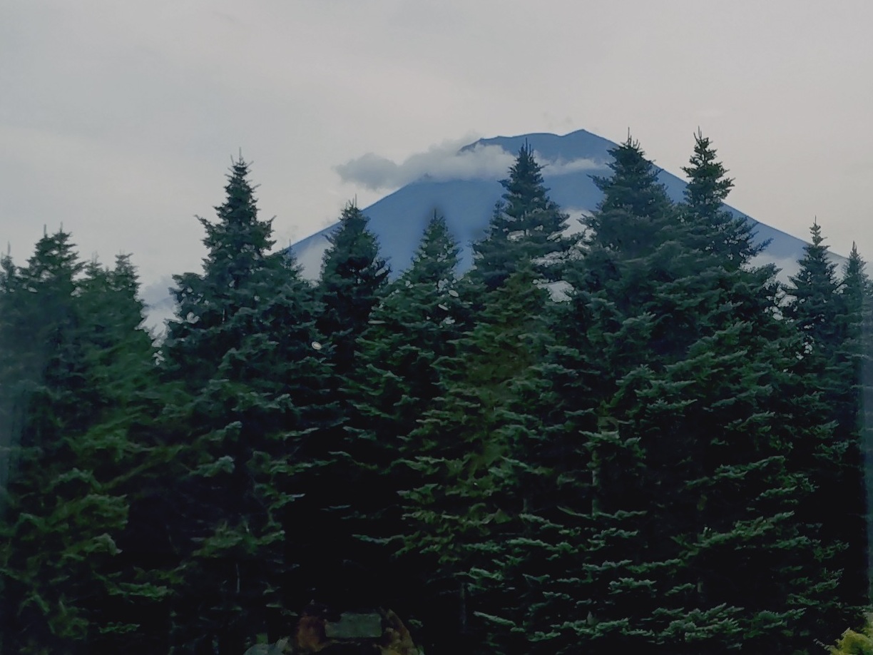 夏期講習2期の桜新町