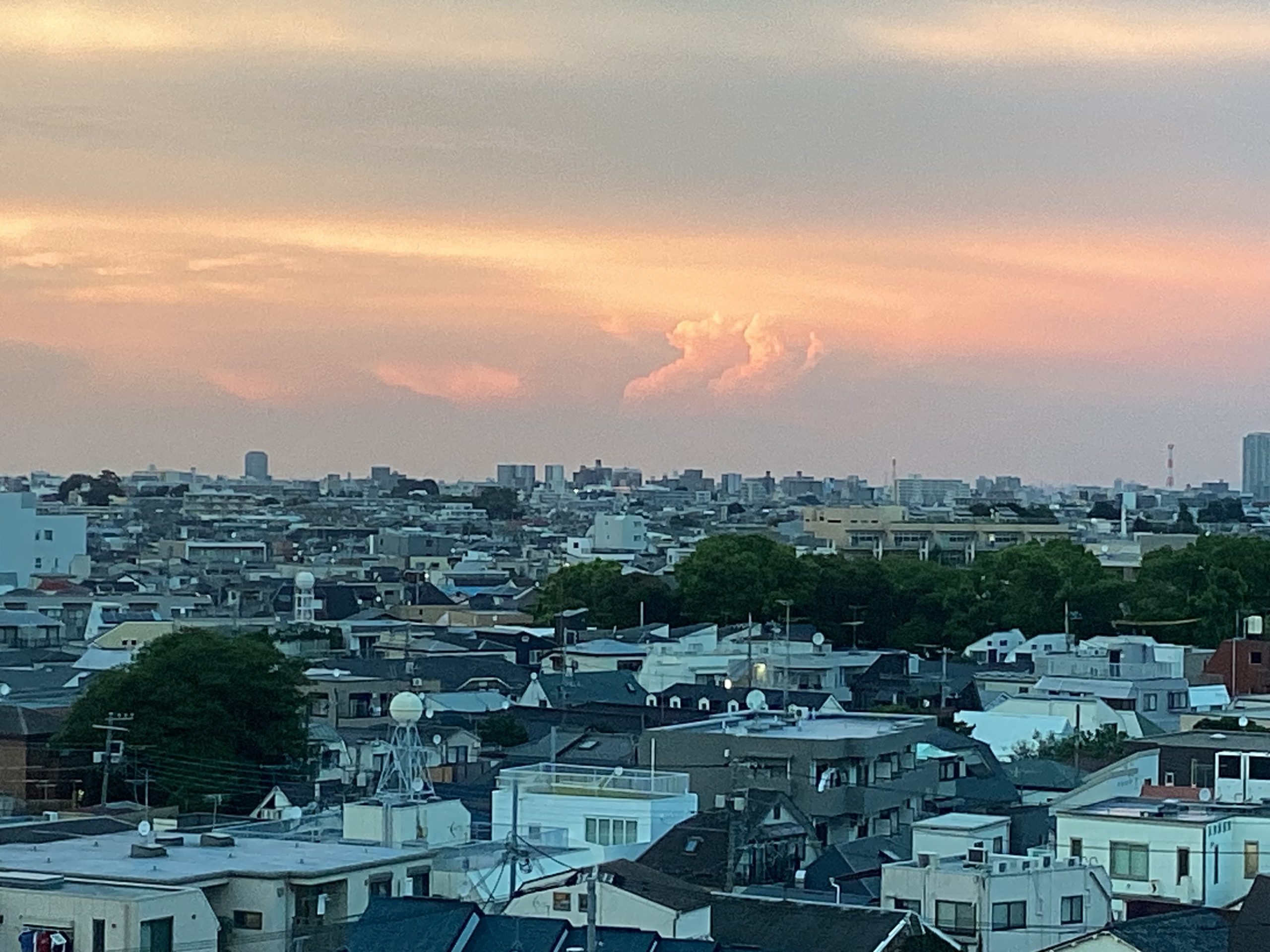 夏期講習会　第１期～３日目～