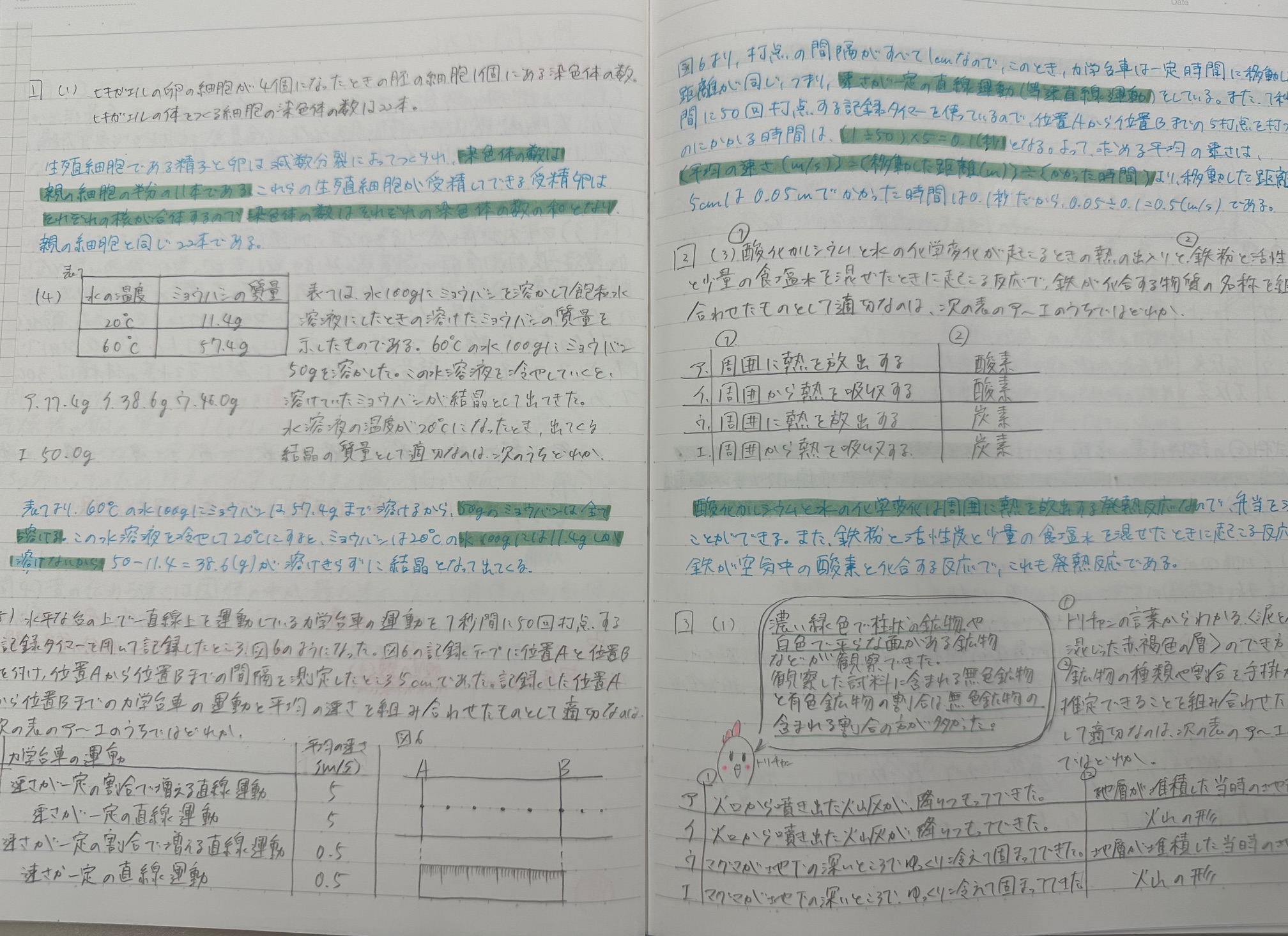 〇〇を探せ！【中3復習ノート】 | 公式・進学塾のena｜中学・高校受験