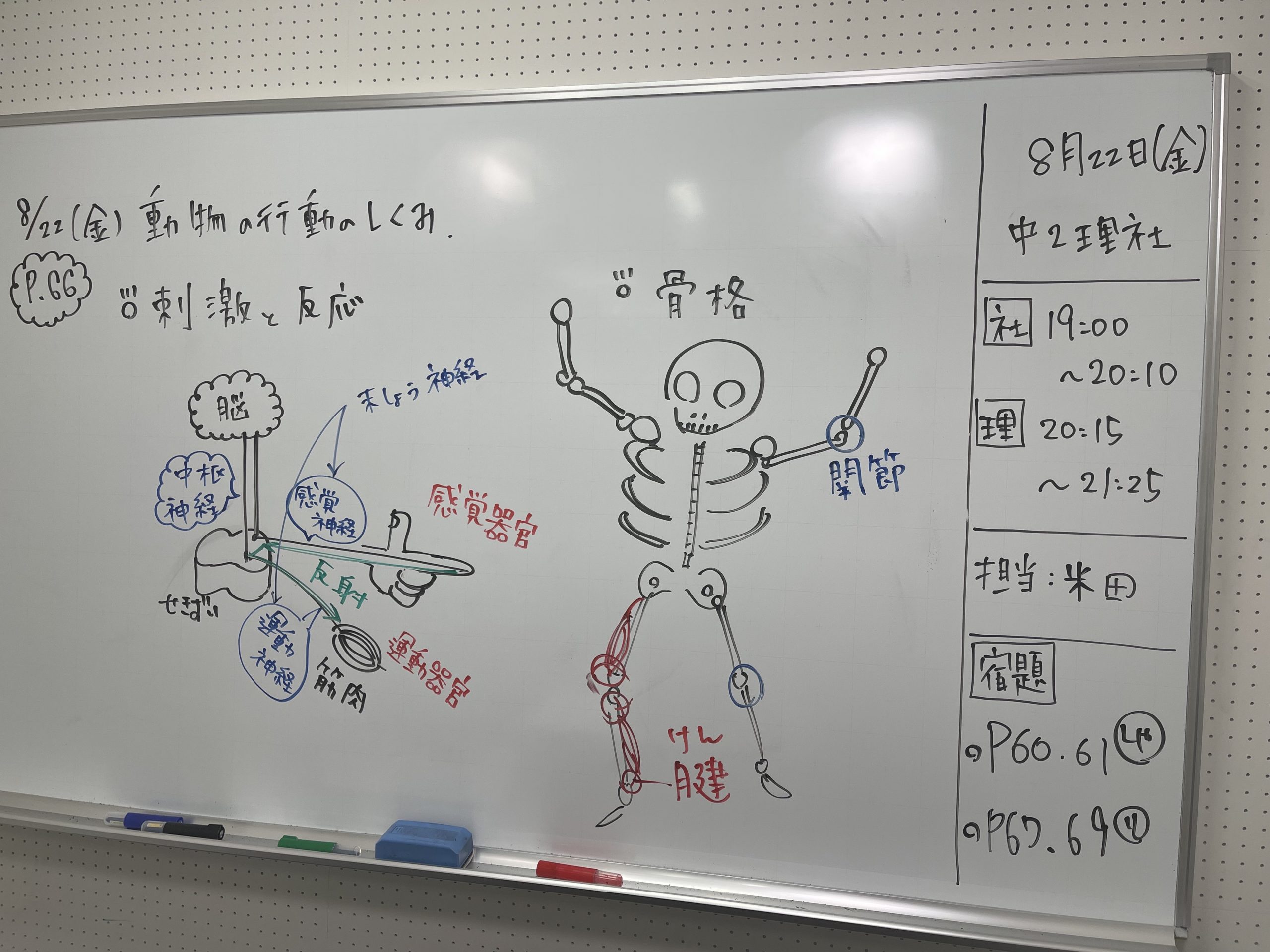 【夏期中１・２理社ライブ映像授業】enaオンラインclass通信＃１６７５