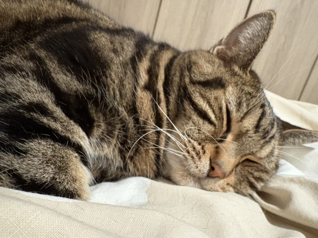 適性検査Ⅰ攻略②