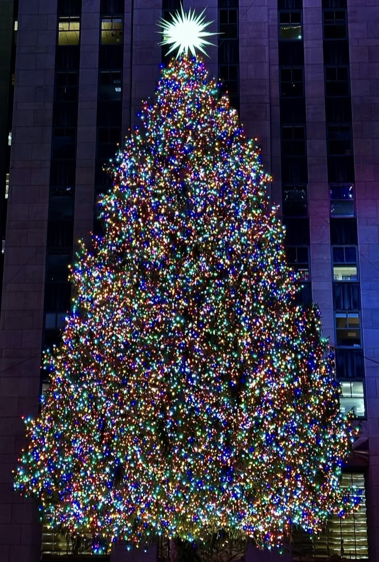 #AsakusaBashi-Catch#【257】ツリーのように