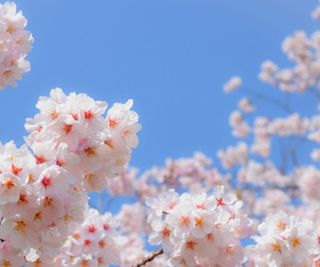 ena下北沢(^^♪3/2（月）