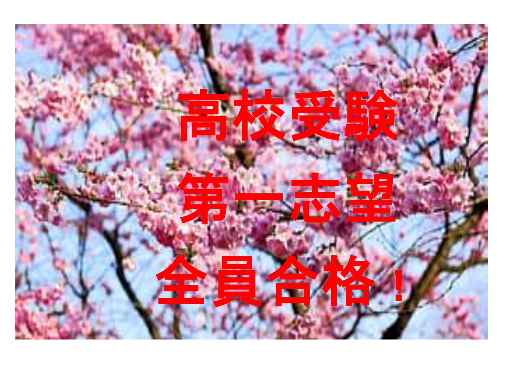 【ena都立家政】入試結果