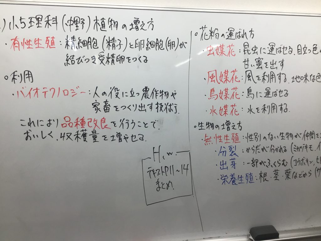 2026.3.14　新学年授業、始まっています！