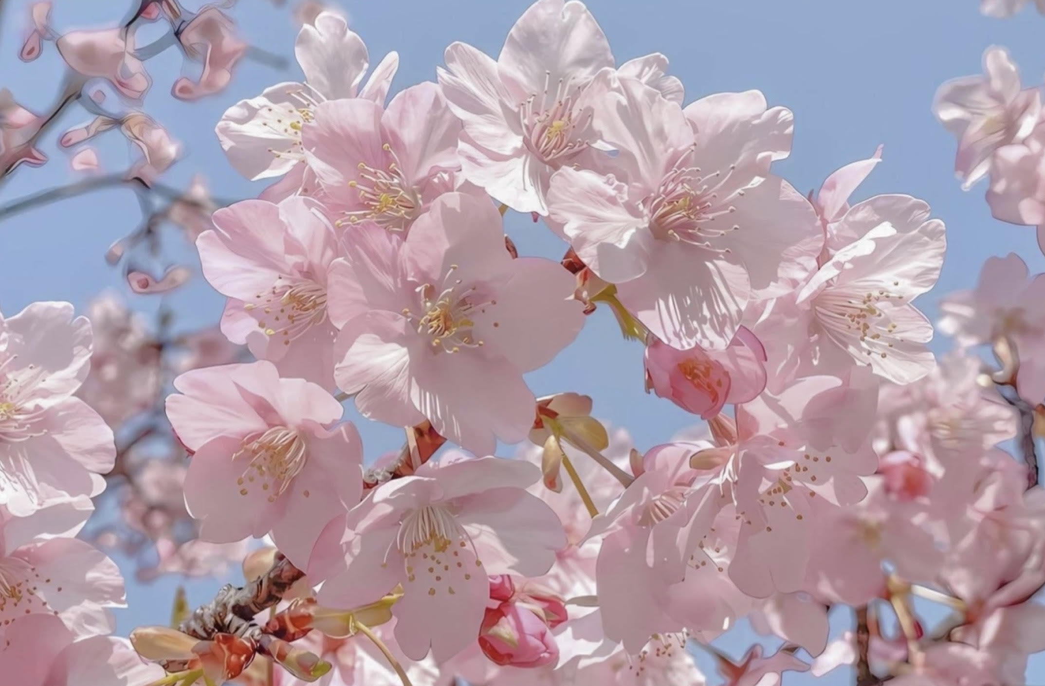 新学期スタート☆彡