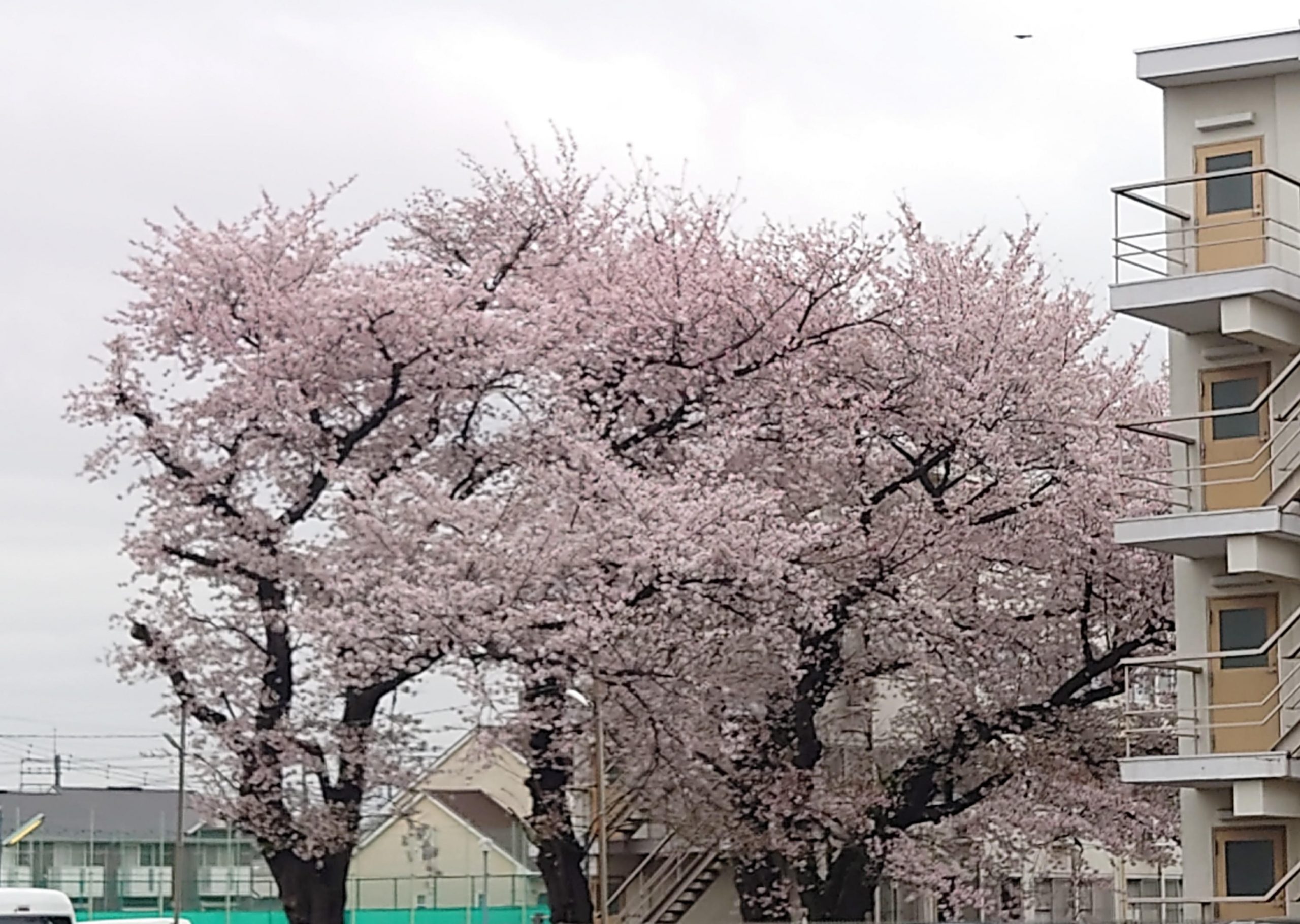 春期講習会～６日目（後半初日）～