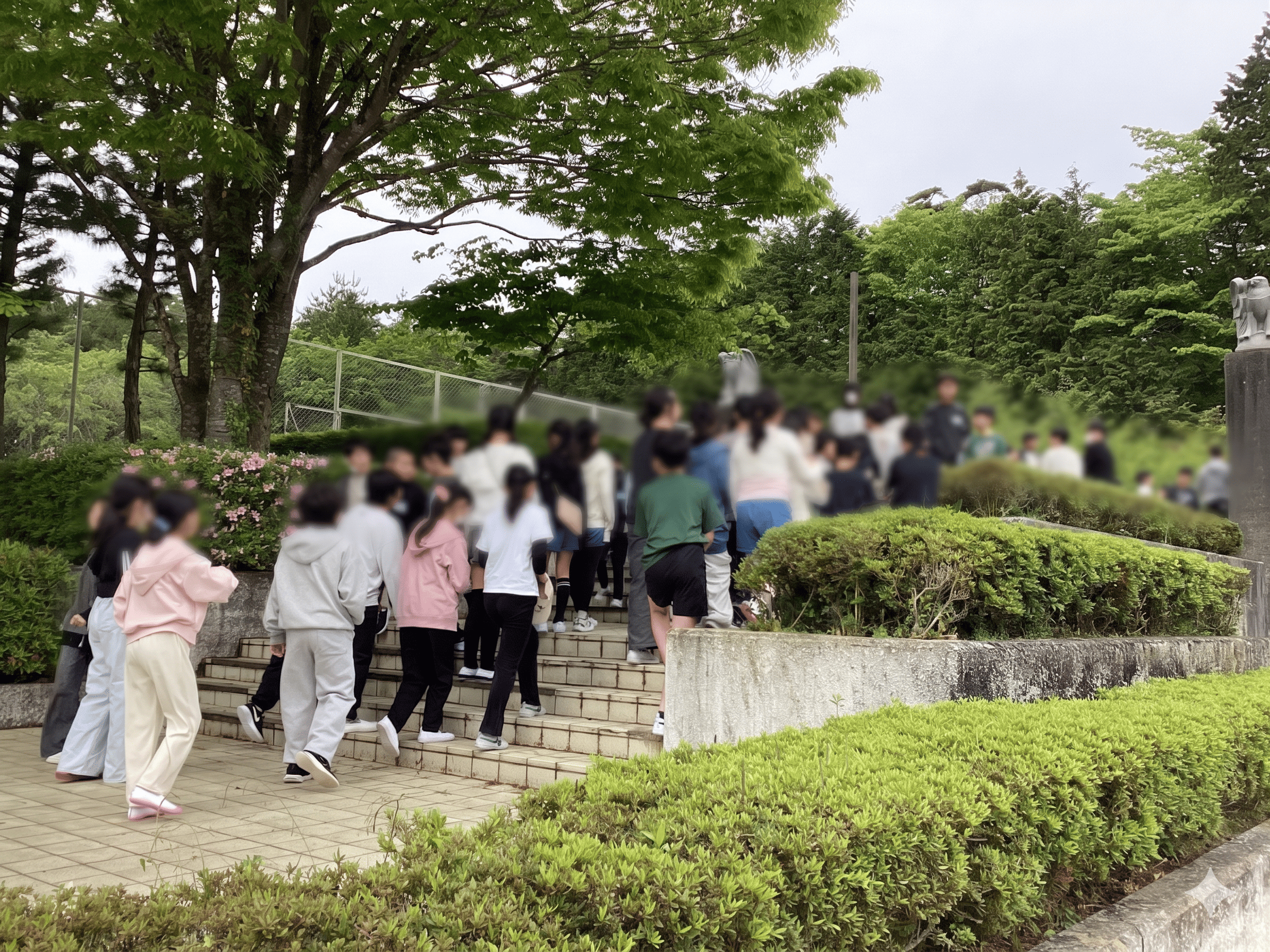 小６、決戦の２日目。