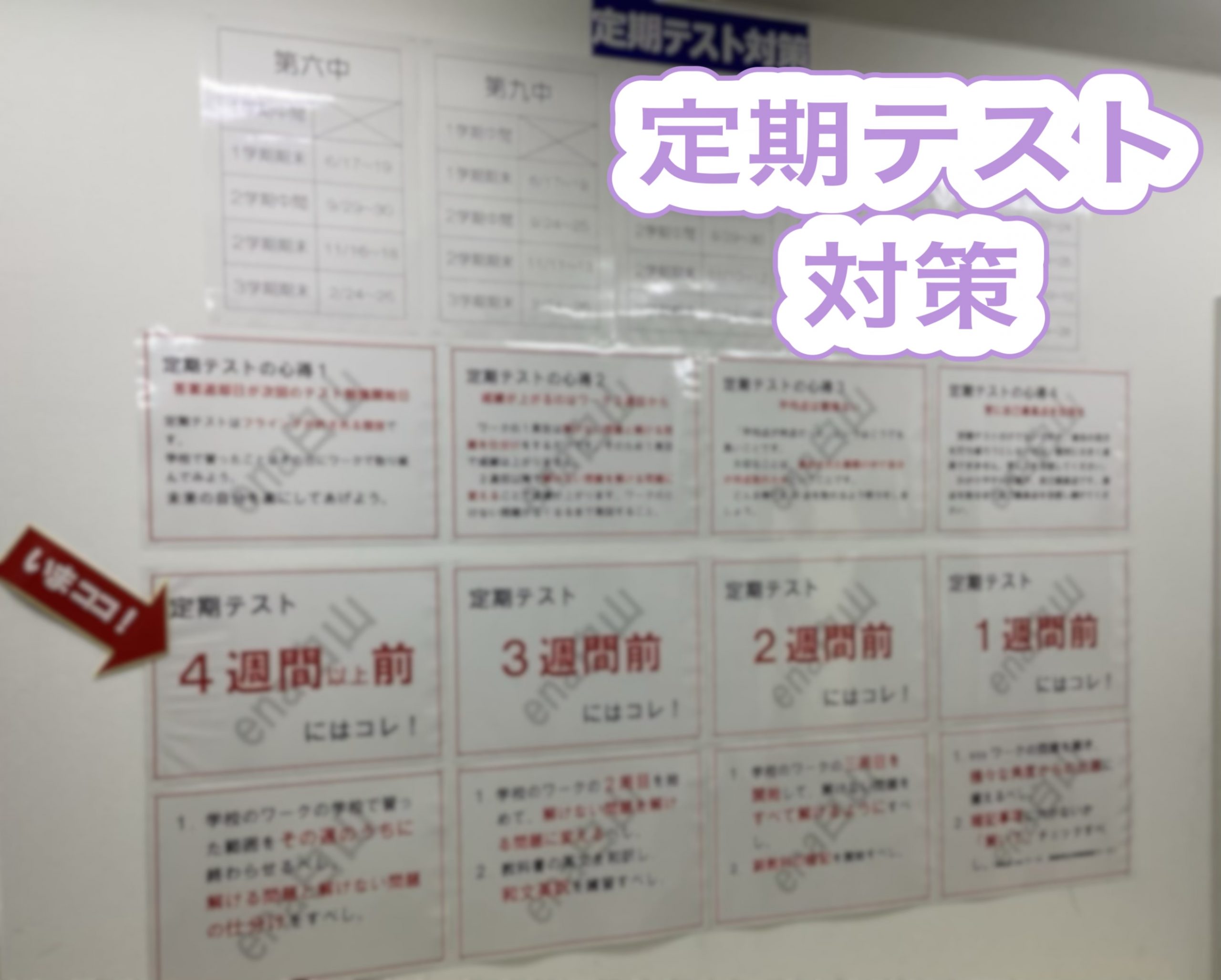 【ena白山】４月のMVPは！？