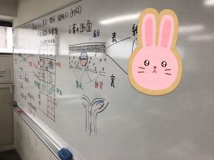 7月30日（木）夏期講習②