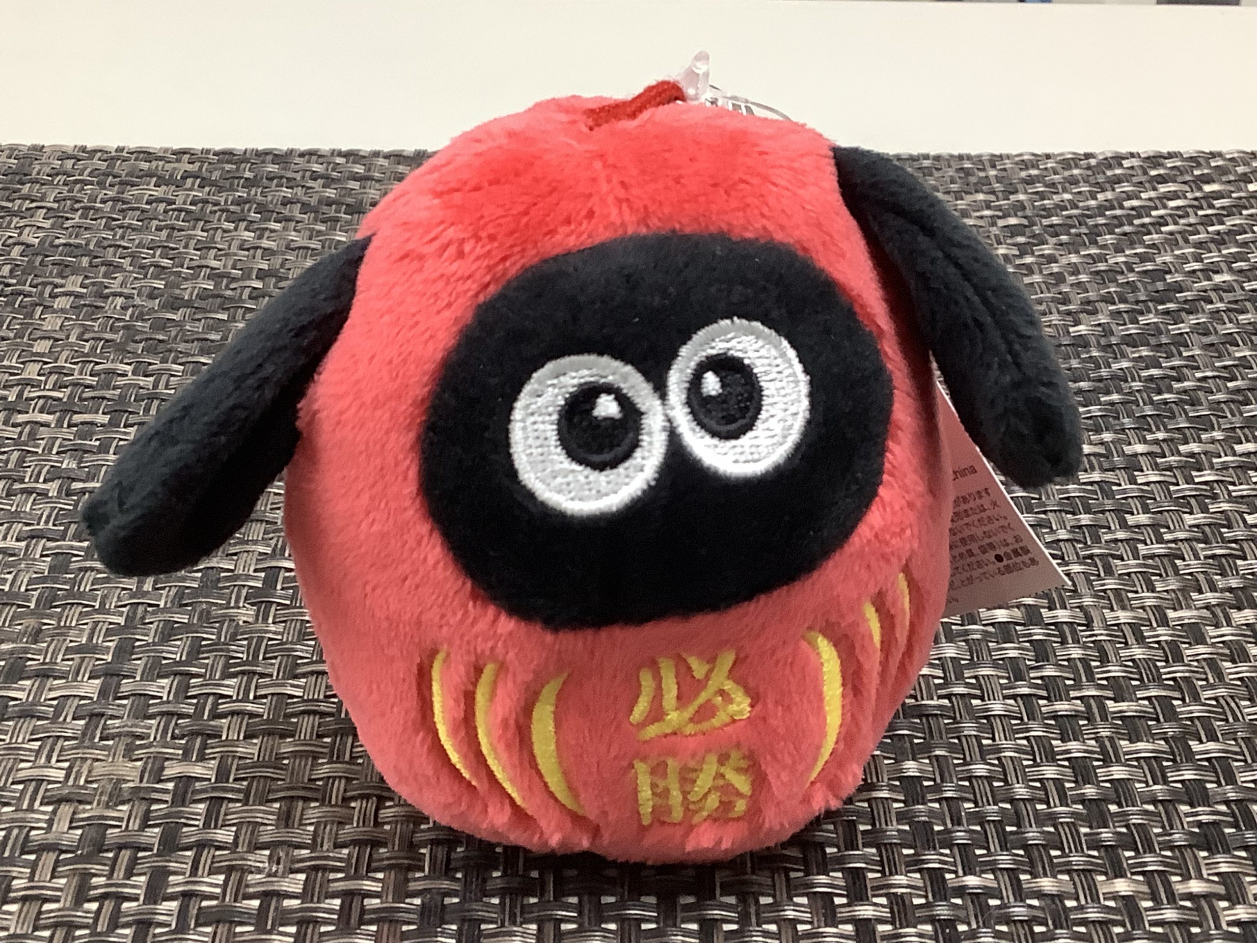 都立中応募倍率公開!いよいよ本番まであとわずか!