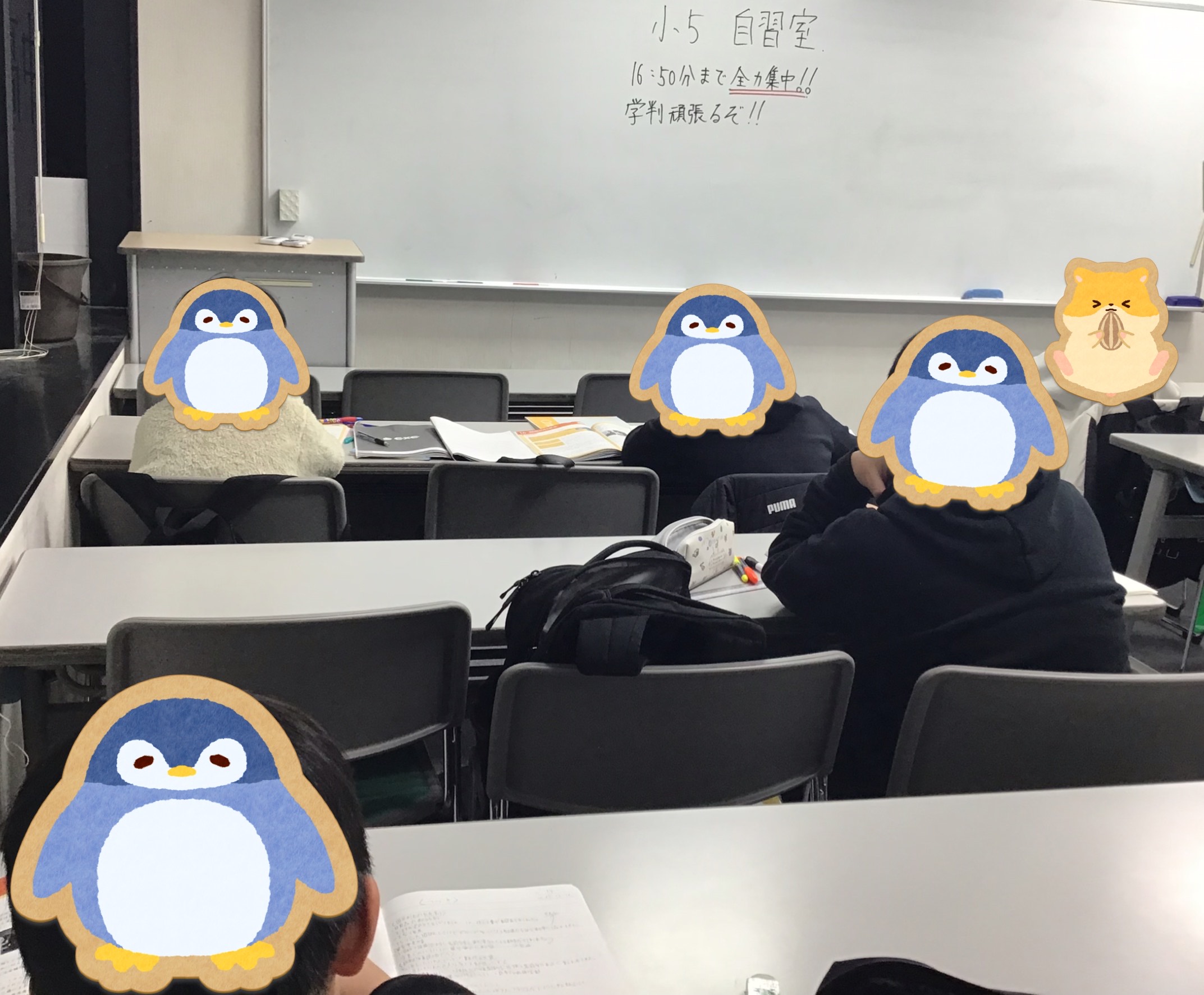 ☆ena 2018年小5学力判定テスト 第7回～11回、適性、夏期、プレ合判☆ 小5合格判定模試 | - 【公式】進学塾のena
