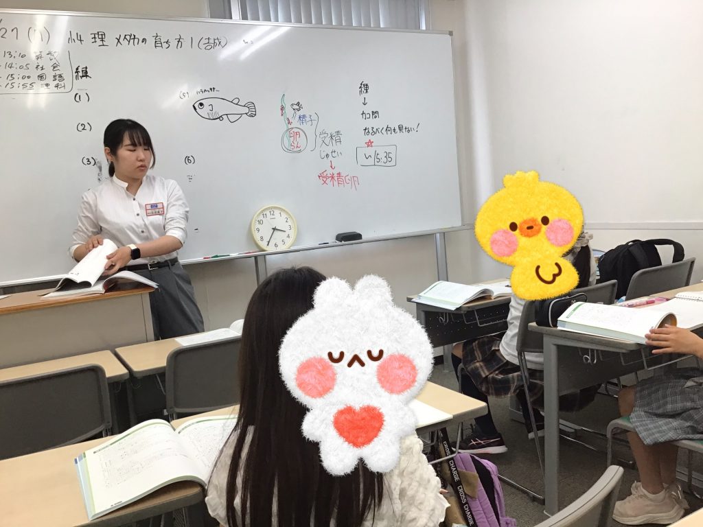 夏期講習2期　続編