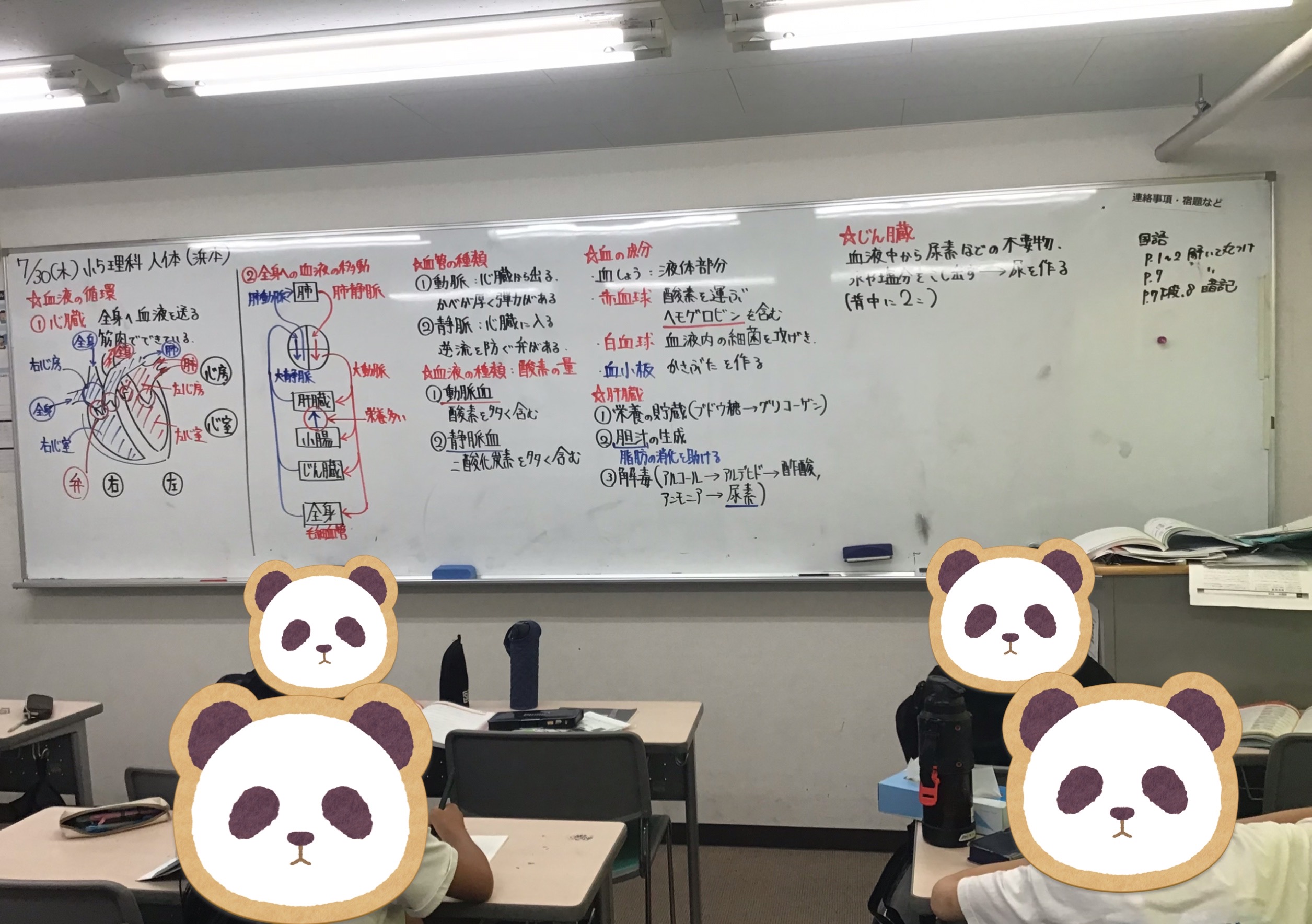 狛江ウォッチ0730【小５】整理して覚える！