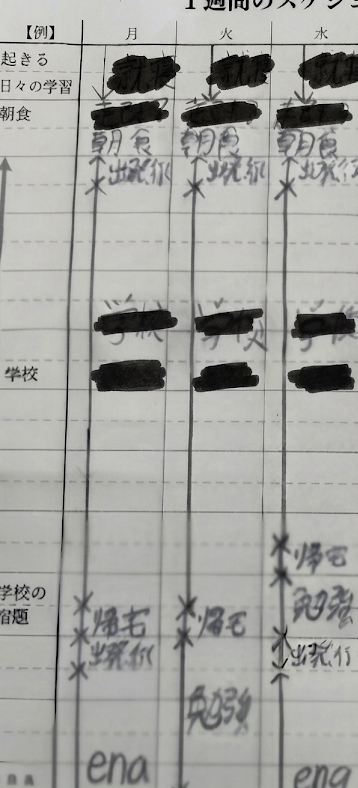 スケジュール確認２/夏期講習