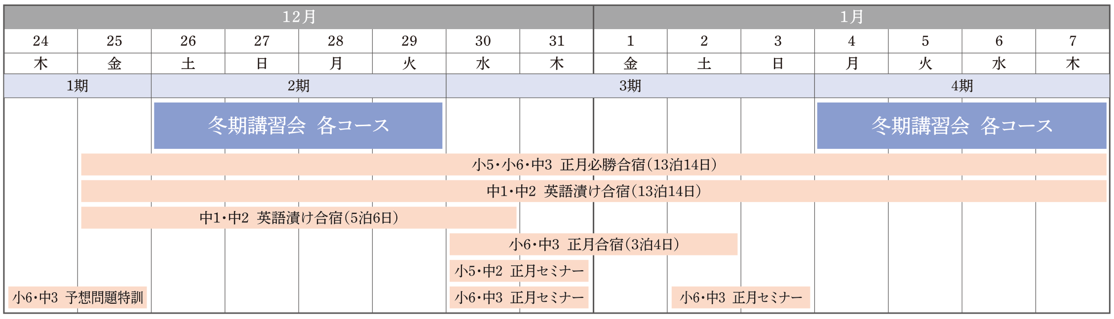 スケジュール