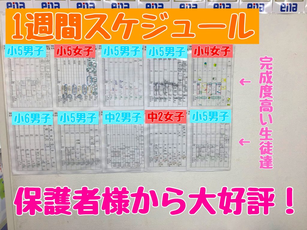 【蓮根のこだわり、1週間スケジュール！】