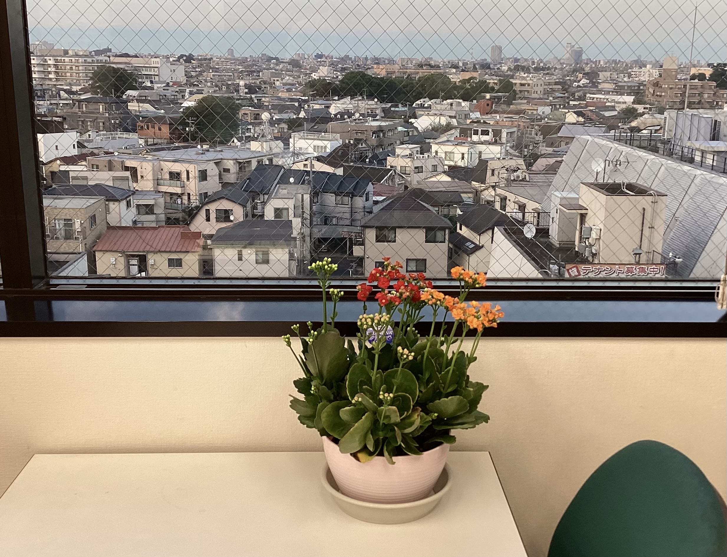 学力判定テスト
